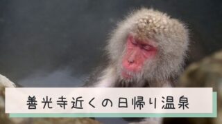 善光寺お守りの人気の種類やご利益は Snsで話題の水晶や牛 厄除け闇守りも ながのーと